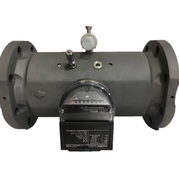 Medidor de gas FMG FMT-Lx G650 6"