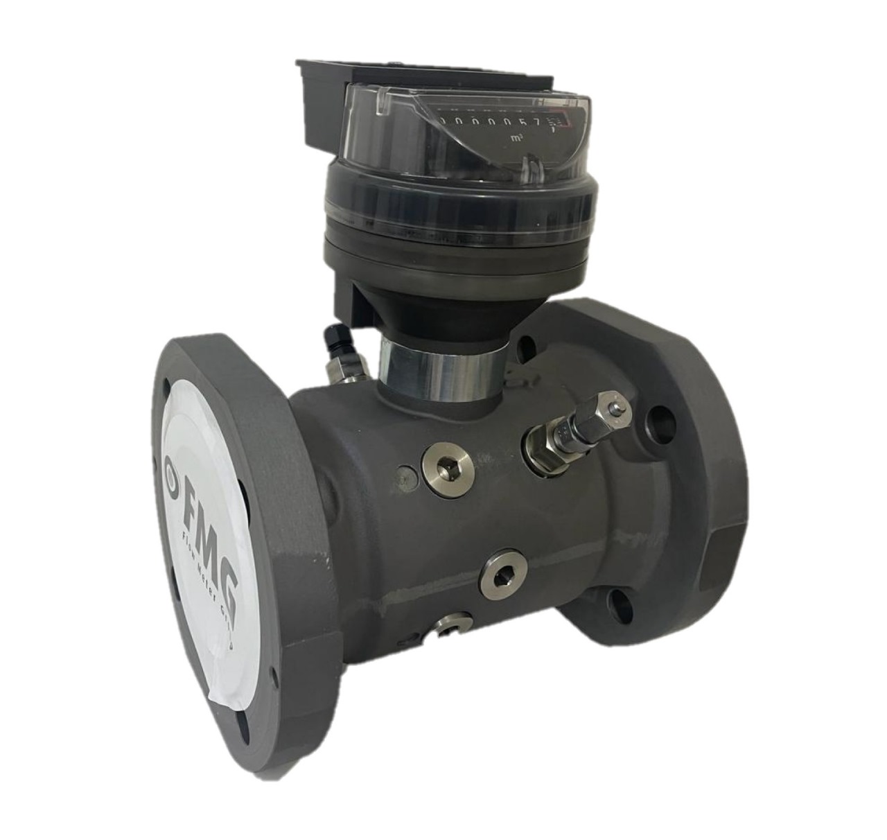 Medidor de gas FMG FMT-Lx G160 3" - Imagen 8