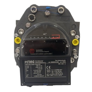 Medidor De Gas Mca Fmg Mod Fmr G65  En 2 PLG  Bridado