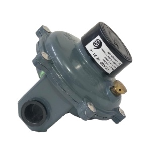 Regulador Gas Natural Humcar Rcabp Se21-6 411519 Interiores