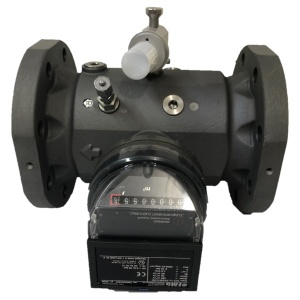 Medidor de gas FMG FMT-Lx G250 4"